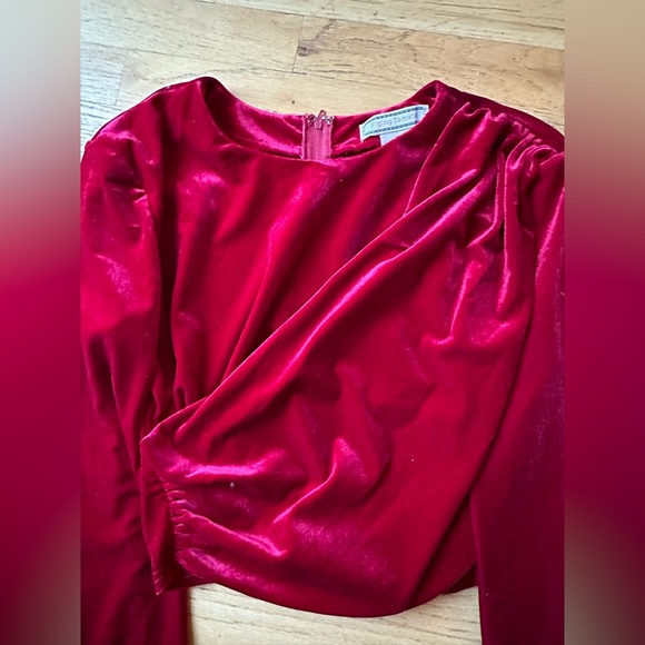 Continue this journey velvet crop top flying tomato - Picture 2 of 5